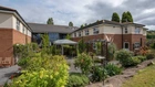 Maple Tree Court