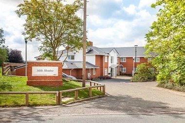 Mills Meadow